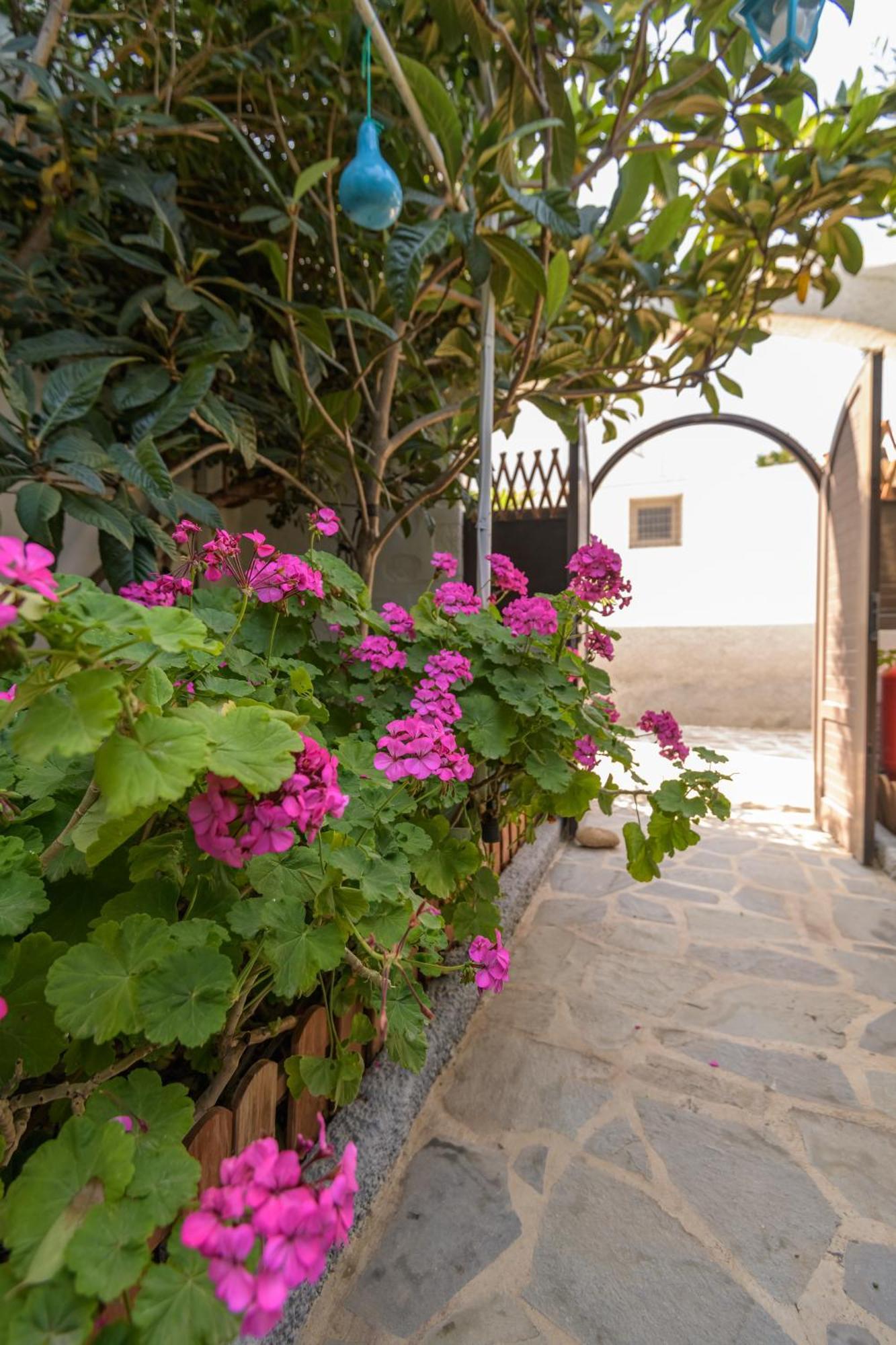 Grikos Hotel Patmos Town Bagian luar foto